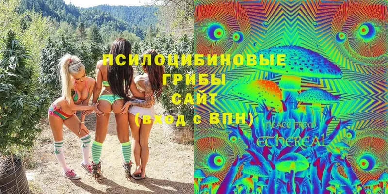 Псилоцибиновые грибы Cubensis  Ковылкино 