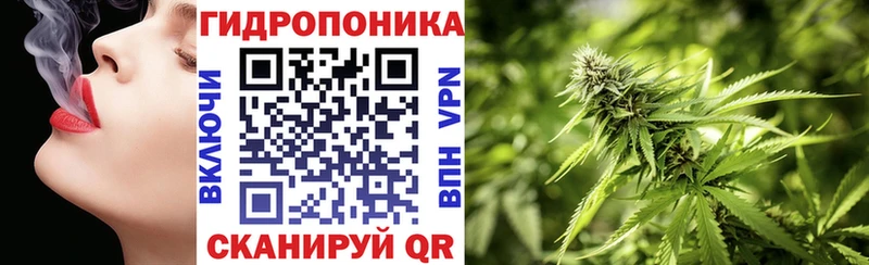 сколько стоит  Ковылкино  МАРИХУАНА сатива 